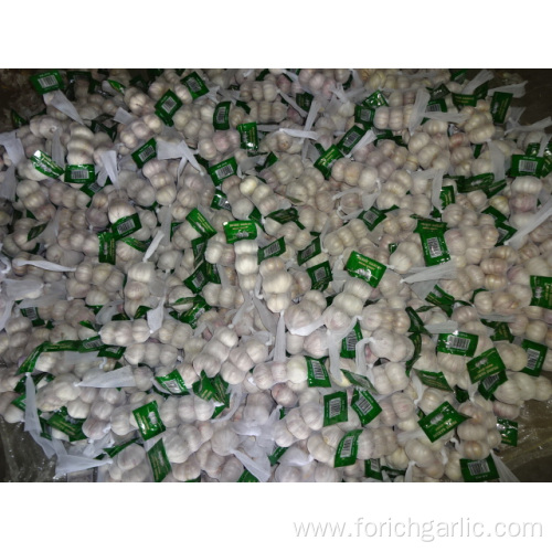 Small Bag Normal White Garlic
